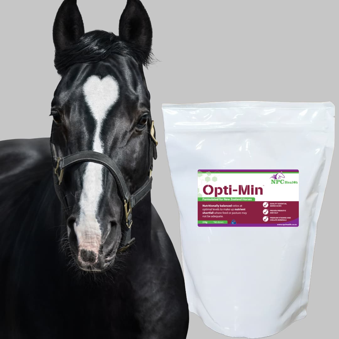 إستيراد فيتامينات الخيول